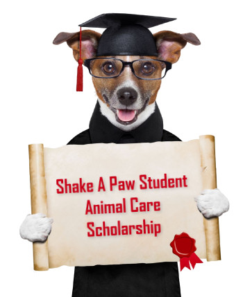 Shake A Paw Student Animal Care Scholarship