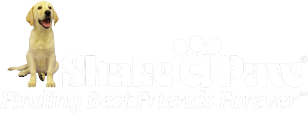 Shake A Paw - Finding Best Friends Forever