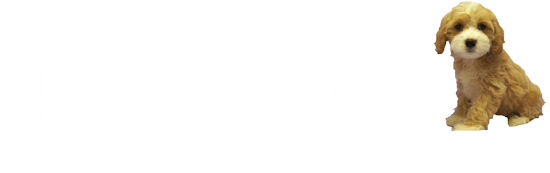 Shake A Paw Rescue and Adoption Center