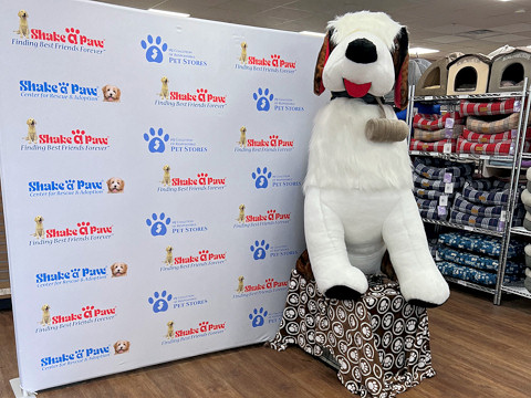 Shake A Paw - Finding Best Friends Forever