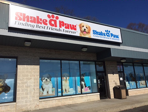 Shake A Paw - Finding Best Friends Forever