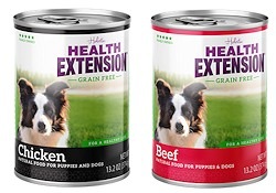 Health Extension