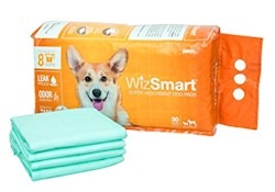 WizSmart